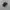 Sendal Keen Black photo 1