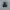 Sendal Keen Black Silver photo 5