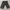 Carhartt Vintage Y2K Short Pria khaki photo 2