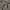 Carhartt Vintage Y2K Short Pria khaki photo 4