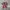 Unknown - Japanese Pleats Issey Miyake Style photo 6