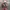 Unknown - Japanese Pleats Issey Miyake Style photo 2