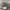 Unknown - Japanese Pleats Issey Miyake Style photo 1