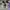 AIR JORDAN 1 MID IRIDESCENT photo 4