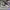 AIR JORDAN 1 MID IRIDESCENT photo 3