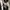 Reebok Streetwear Sportswear Windbreaker Pria white black photo 3