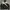 Reebok Streetwear Sportswear Windbreaker Pria white black photo 1