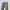 Hysteric Glamour Biker Casual Casual pants Pria khaki photo 3