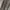 Dress Lipit photo 4