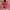 vintage red button up top short sleeve photo 1