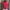 vintage red button up top short sleeve photo 2