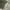 Basic Olive Green Baloon Cargo Pants photo 4