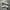 Adidas superstar  photo 1