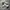 Adidas superstar  photo 1