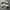 Adidas superstar  photo 1