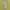 H&M Casual Minimalist Cardigan Wanita yellow photo 2