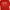 T-shirt poshbrain powder red photo 1