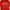T-shirt Poshbrain Powder Red