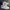 Nike Streetwear Casual Sneakers Pria gray photo 3