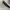 Lululemon Everywhere Belt Bag 1L photo 3