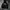 Hoodie dickiess Velvet navy art 22 photo 2