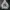 Hoodie mlb big logo photo 2