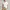 Cable Knit Vest Ralph Lauren