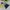 Jacket tebal anak baby gap motif angsa lucu photo 5