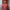 Montbell thinsulated parka jacket photo 5