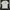 Stussy Streetwear T-shirt Pria white photo 2