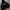 Hoodie Penauts Embroidery DGT By GLL Black Color🥜