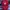 Philadelphia Phillies Baseball Snapback photo 1