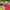Jumpsuit tebal anak ettoi merah lucu cakep photo 2