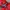 Jumpsuit tebal anak ettoi merah lucu cakep photo 3