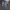 FY 139 - Levis 501 Ripped Jeans photo 2