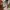 Tory burch flemming soft leather auth nett photo 7