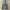 Faded Desert Blue Mud Wash Giordano Boot Cut Jeans photo 1