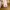Toryburch alexa shoulder bag auth nego photo 4