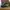 Salomon XT4 Eden Lime Green photo 3