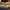 Salomon XT4 Eden Lime Green photo 4