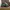Salomon XT4 Eden Lime Green photo 1
