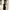 midi dress black elegant wrap hitam classy photo 1