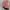 Helm bogo retro marcolino gradient pink wanita photo 2