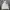 Windbreaker adidas chelsea big logo backprint photo 1