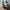 Adidas 350 photo 6