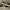 Sneakers Adidas Campus Green size 42 photo 6