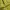 Kaos Outdoor Eider Baselayer Xenoum Green Gunung Hiking Trek photo 4