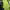 Kaos Outdoor Eider Baselayer Xenoum Green Gunung Hiking Trek photo 6