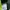 Kaos Outdoor Eider Baselayer Xenoum Green Gunung Hiking Trek photo 5