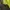 Kaos Outdoor Eider Baselayer Xenoum Green Gunung Hiking Trek photo 2